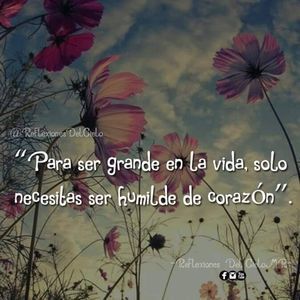 Meet your Posher, Lopez